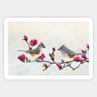 Tufted Titmice on Magnolia Branch Magnet